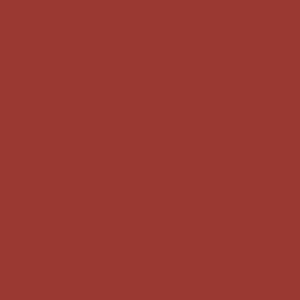 VISIONARY - CINNAMON BROWN