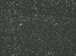 BLACK TRUFFLE is a black silver