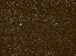 GOLD MOCHA is a brown bronze