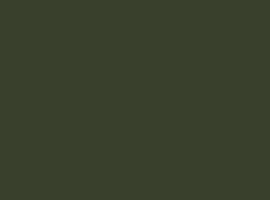 OLIVE is a green