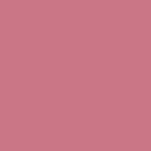 ribbon - sheer pink