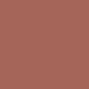 toast - rose taupe